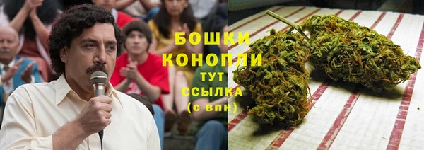 индика Верея