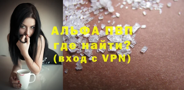 индика Верея