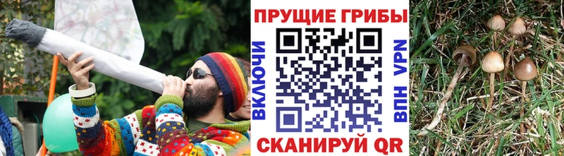 Галлюциногенные грибы MAGIC MUSHROOMS  Новый Оскол 